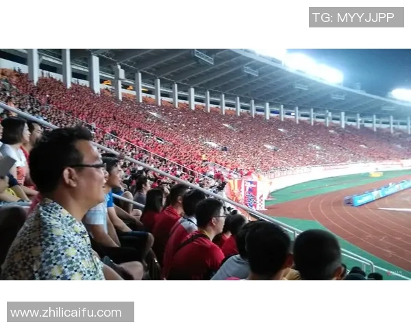 梅因茨战平勒沃库森，保级压力骤减，球迷欢欣雀跃